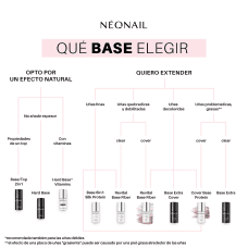 Que bases elejir