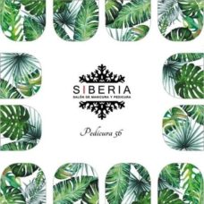 Foto del producto 20: Slider SIBERIA 56.