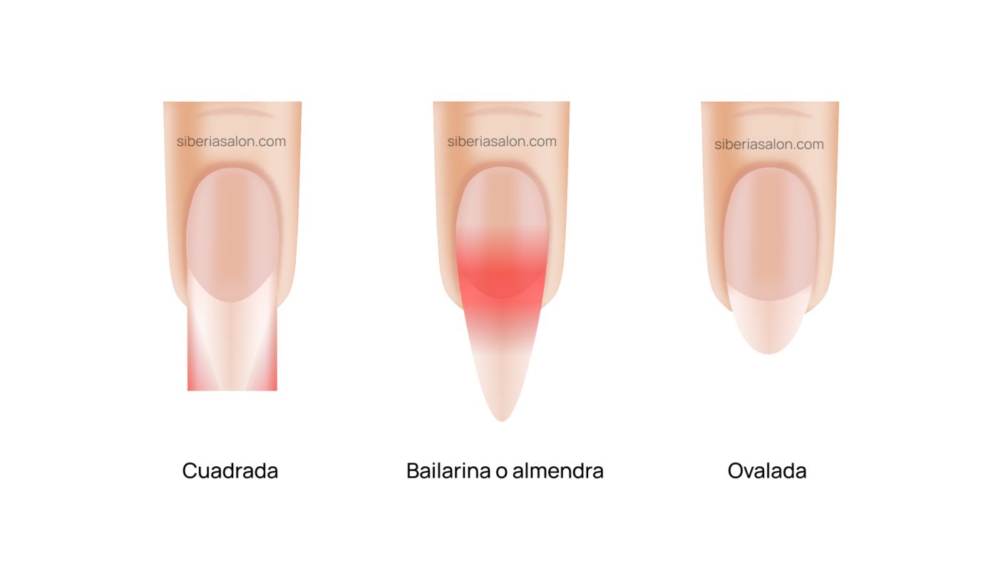 Adaptación de la forma de uña a la carga