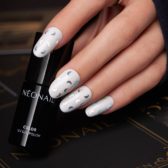 Halloween_1689_12202_12195_11544