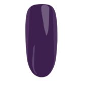 nn-expert-15-ml-no-risk-no-story (1)