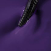 nn-expert-15-ml-no-risk-no-story