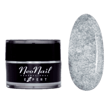 Paint Gel Expert Metalic Silver