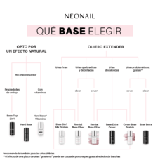Que bases elejir