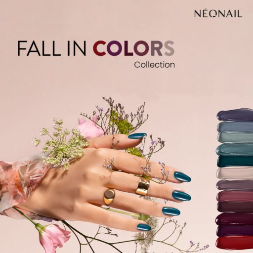 Pack Fall in Colors Collection +