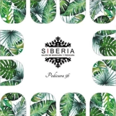 Foto del producto 5: Slider SIBERIA 56.