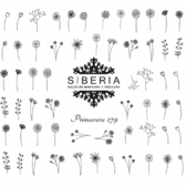 Slider-SIBERIA-279