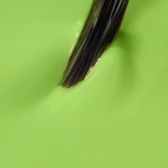 10709