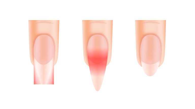Biomecánica profesional de las uñas