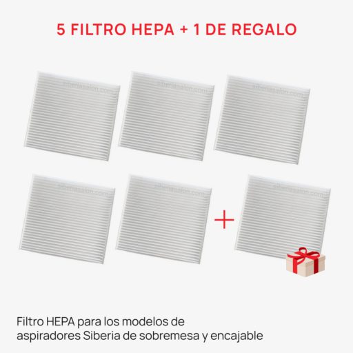 5+1 filtro hepa