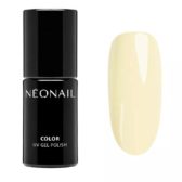 esmalte-semipermanente-72-ml-funky-soul
